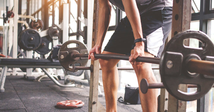 Barbell for Beginners