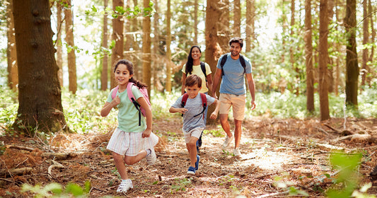 6 Reasons Why Summer Hiking Will Refresh Your Fitness Routine