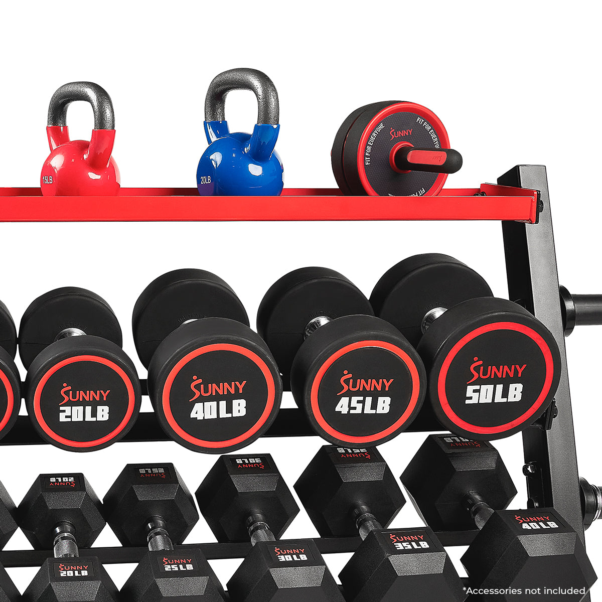 Sunny Strength® Premium All-In-One Mass Weights Storage Rack