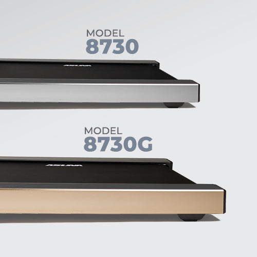 COLORS | This model has 2 color options: Silver or Light Gold