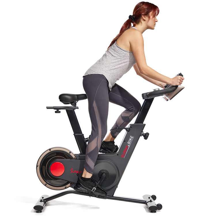 Tryden Connected Magnetic Cycle Bike